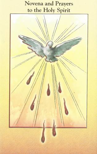 Novena Holy Spirit Paperback