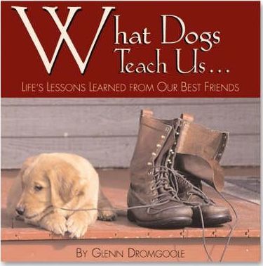 What Dogs Teach Us: Life's Lessons Learned from Our Best Friends