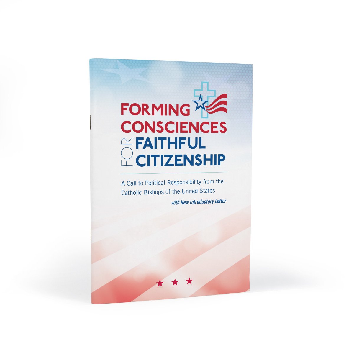 Forming Consciences for Faithful Citizenship