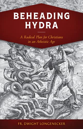Beheading Hydra: A Radical Plan for Christians