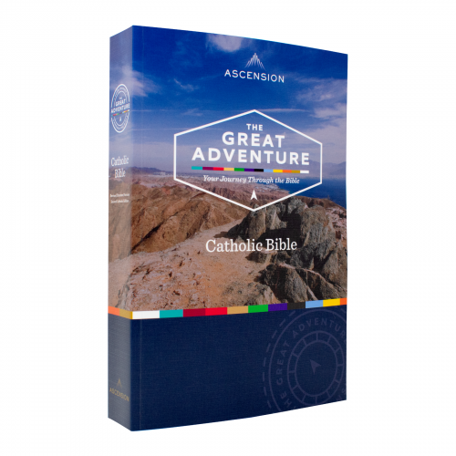 Revised Standard Version Great Adventure Bible Paperback