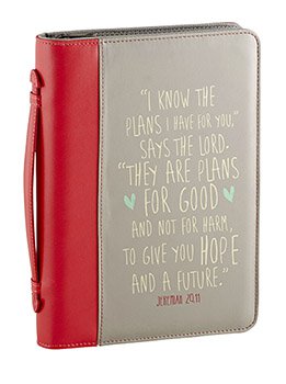 Bible Cover Plans For You